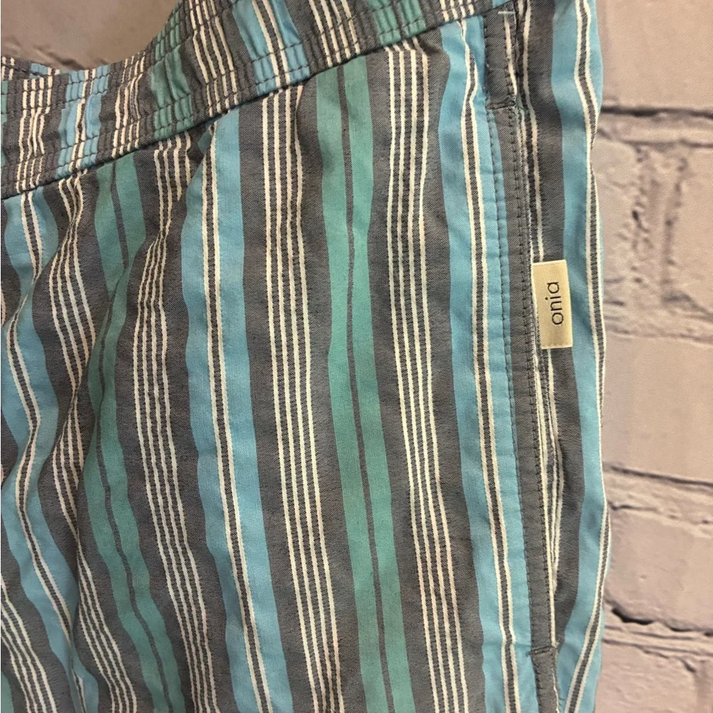 Onia Swim Trunk Shorts Men’s Blue Gray Stripe Print‎ Mesh Lined Pockets Size L